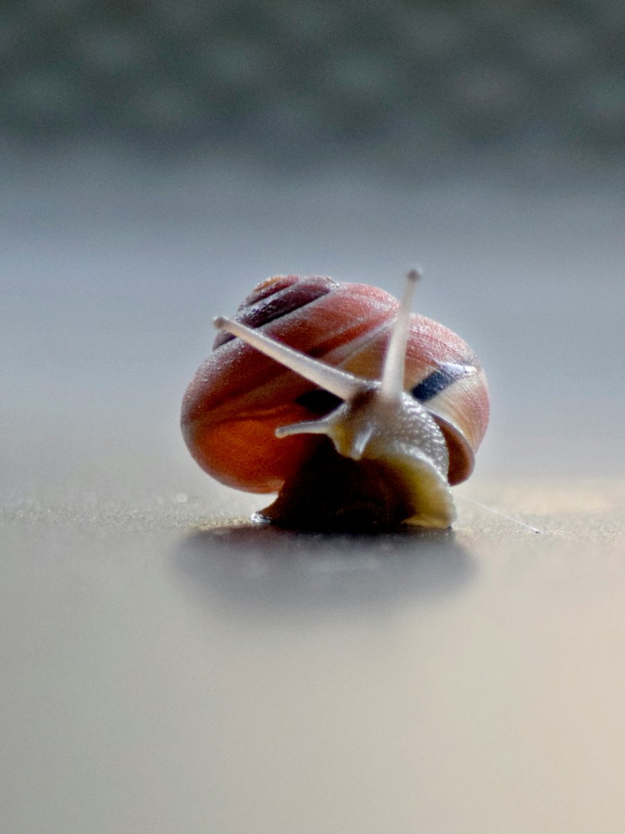 Cuatro dramas slice of&nbsp;life